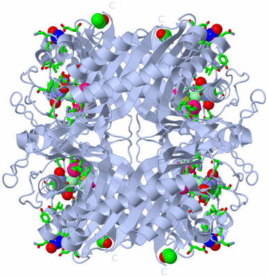 Image Biol. Unit 1 - sites