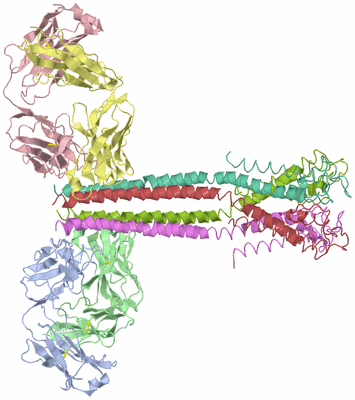 Image Asym./Biol. Unit