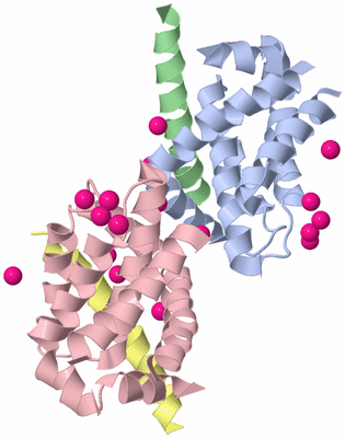 Image Asymmetric Unit