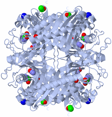 Image Biological Unit 1