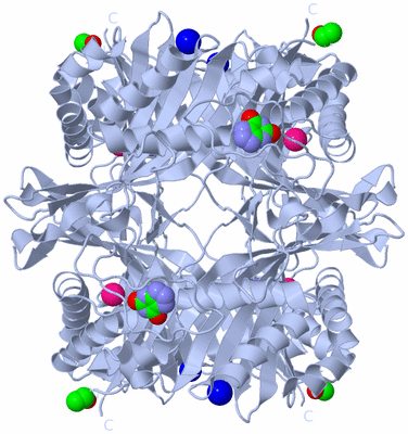 Image Biological Unit 1