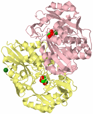 Image Biological Unit 2