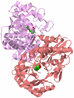 Image Biological Unit 3