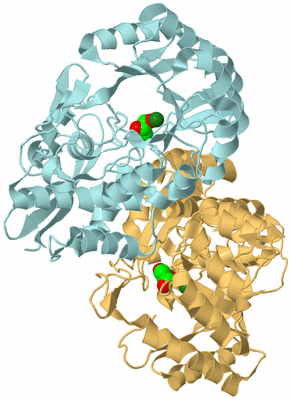 Image Biological Unit 4