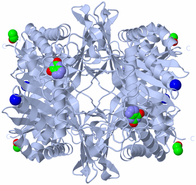 Image Biological Unit 1