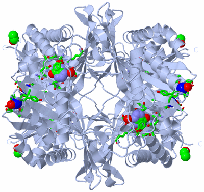 Image Biol. Unit 1 - sites