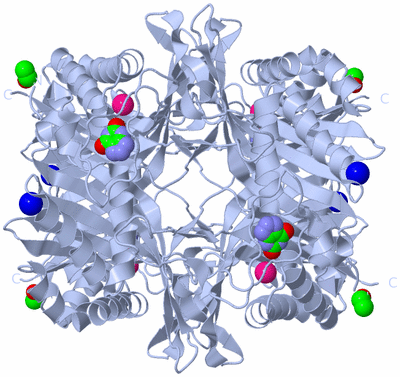 Image Biological Unit 1