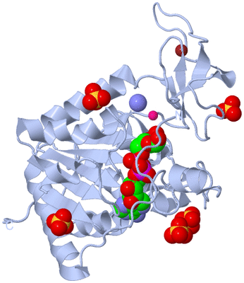 Image Biological Unit 1