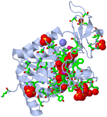 Image Biol. Unit 1 - sites