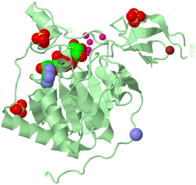 Image Biological Unit 2