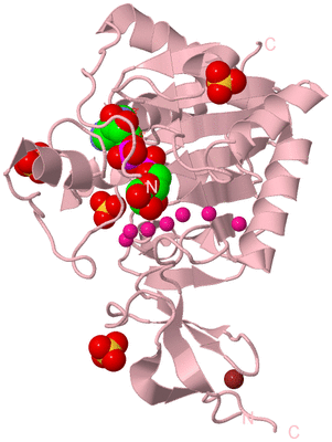 Image Biological Unit 3