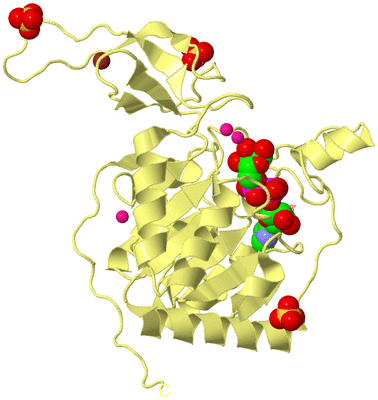 Image Biological Unit 4