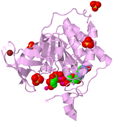 Image Biological Unit 5