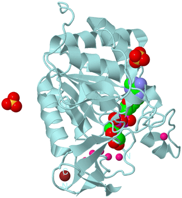 Image Biological Unit 6