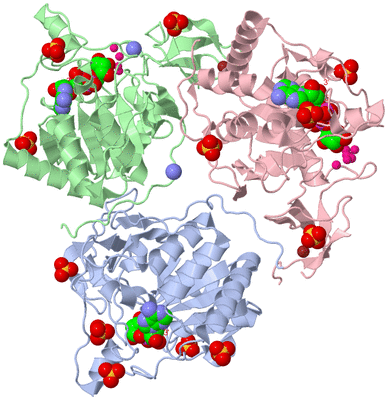 Image Biological Unit 7