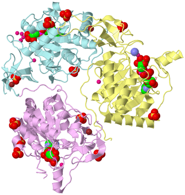 Image Biological Unit 8