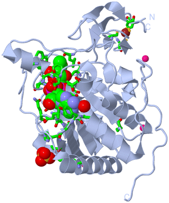 Image Biol. Unit 1 - sites