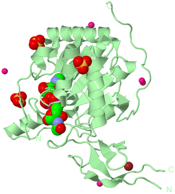 Image Biological Unit 2