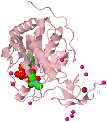 Image Biological Unit 3