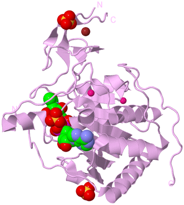 Image Biological Unit 5