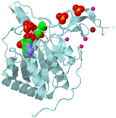 Image Biological Unit 6