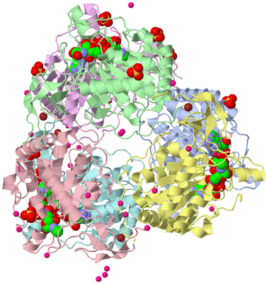 Image Biological Unit 7