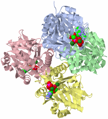 Image Biological Unit 1