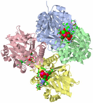 Image Biol. Unit 1 - sites