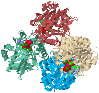 Image Biological Unit 2