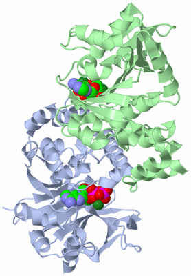 Image Biological Unit 3