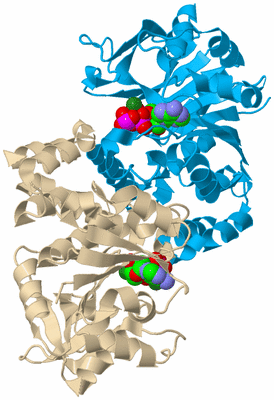 Image Biological Unit 5