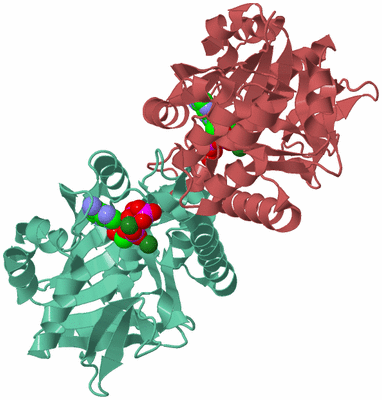 Image Biological Unit 6