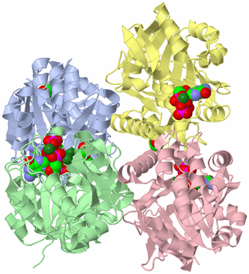 Image Biological Unit 1