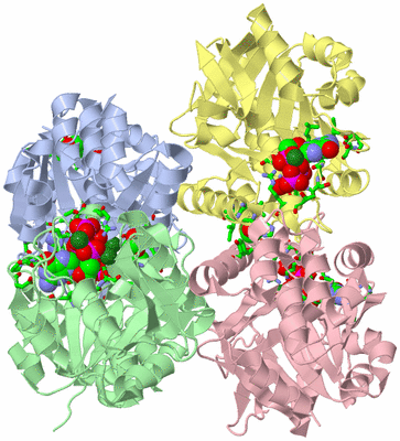 Image Biol. Unit 1 - sites