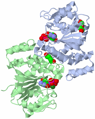 Image Biological Unit 2