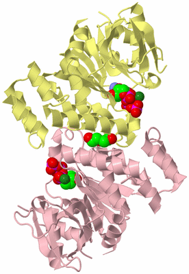 Image Biological Unit 3