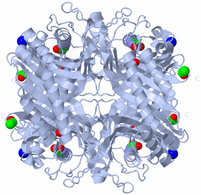 Image Biological Unit 1