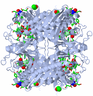 Image Biol. Unit 1 - sites