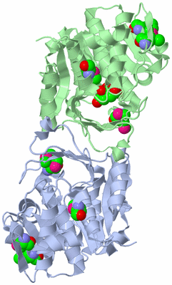 Image Biological Unit 1