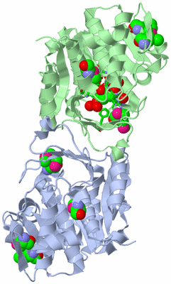 Image Biol. Unit 1 - sites