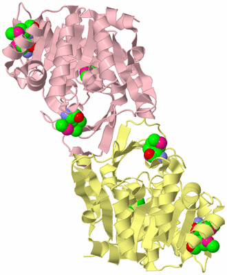 Image Biological Unit 2