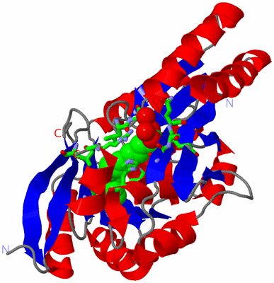 Image Asym./Biol. Unit - sites