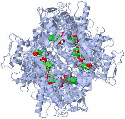 Image Biological Unit 1