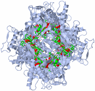 Image Biol. Unit 1 - sites