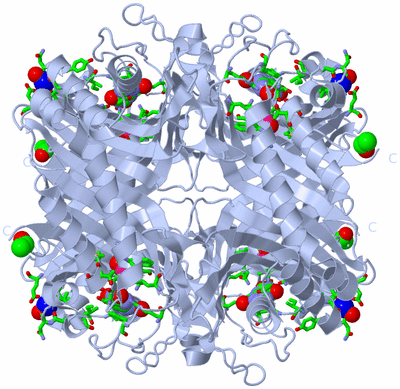 Image Biol. Unit 1 - sites