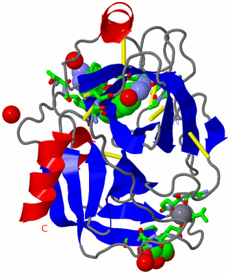 Image Asym./Biol. Unit - sites