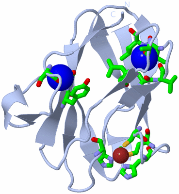 Image Biol. Unit 1 - sites