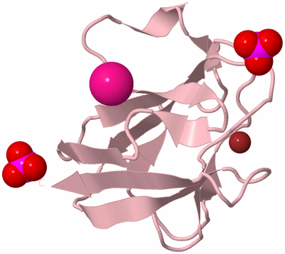 Image Biological Unit 3