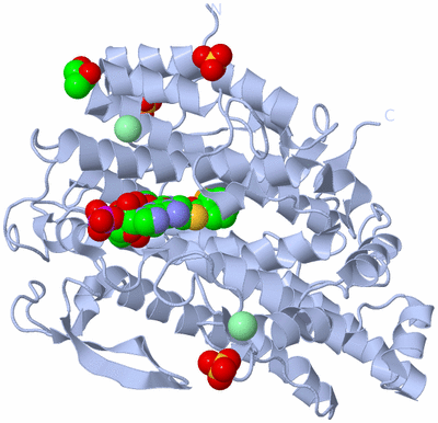 Image Biological Unit 1