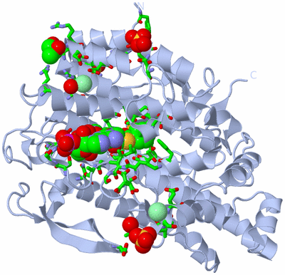 Image Biol. Unit 1 - sites